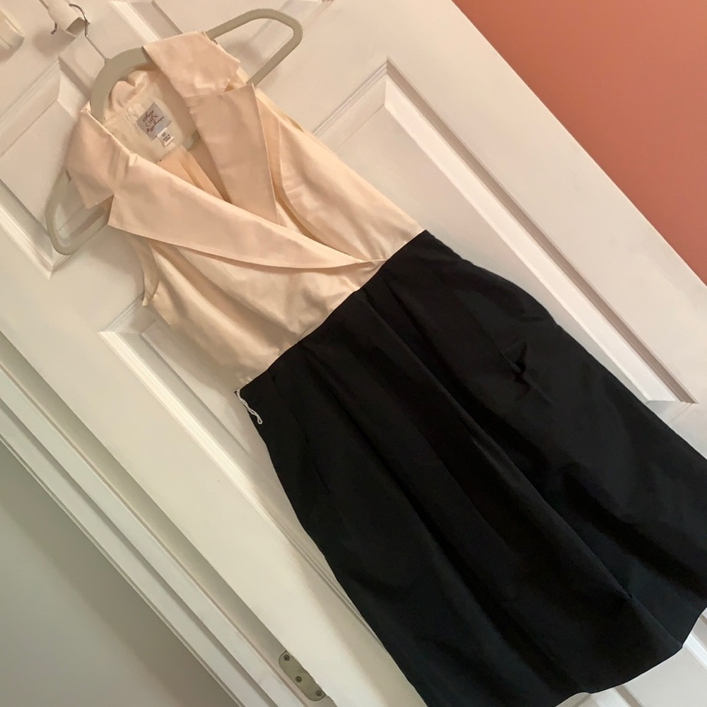 Suzi Chin Dress